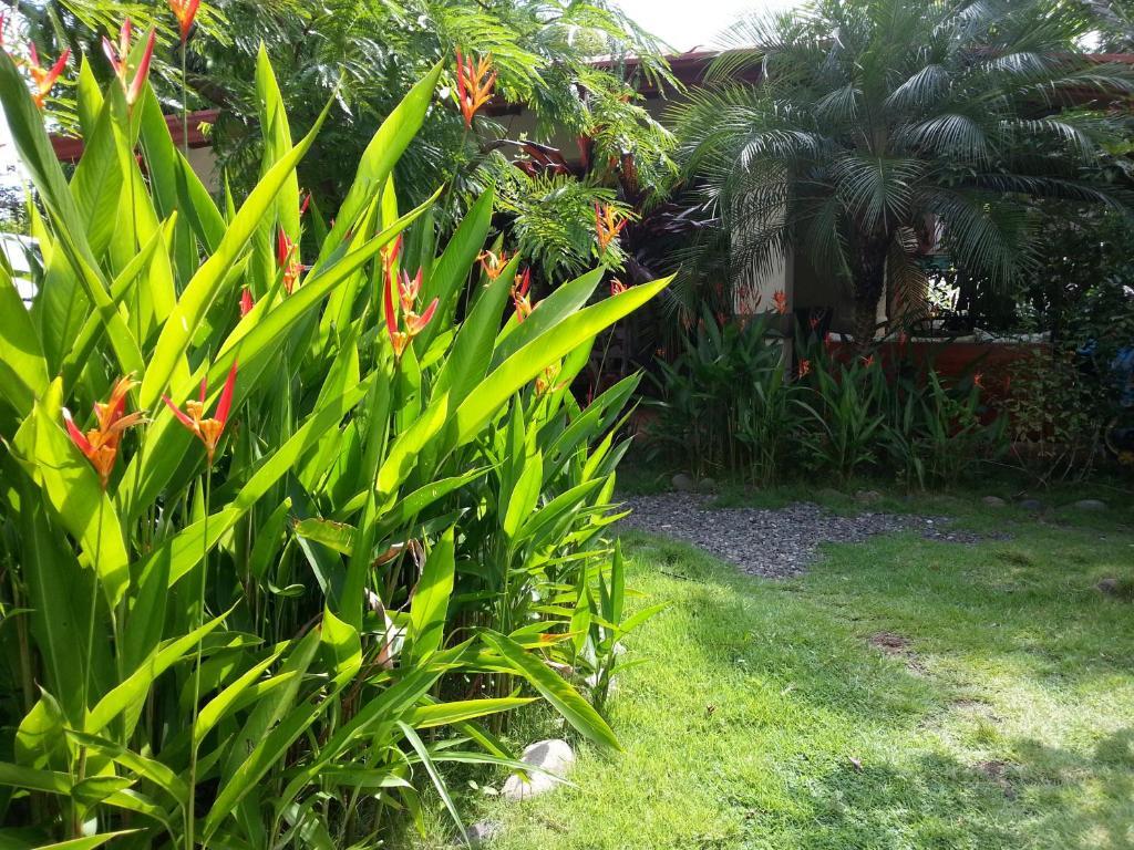 Hotel Green ฆาโก ภายนอก รูปภาพ